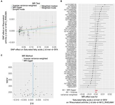 The causal impact of saturated fatty acids on rheumatoid arthritis: a bidirectional Mendelian randomisation study